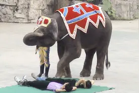 最奇葩的按摩方式！这一脚下去我可能会死视频封面