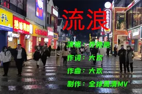 2021新歌推荐 乔艳艳《流浪》女版 唱出了多少在外拼搏人的心声