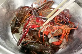 买小龙虾时，选择青色还是红色？夜市老板说出实情，买错了浪费钱