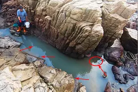 九级大风天赶海盘水坑，大熊亮出抓鱼绝招，大货都自己跳出大水坑