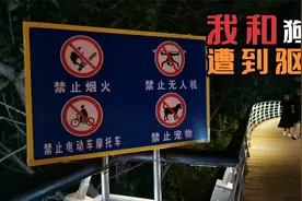 日照海边吹海风，我和狗子遭驱逐，大池塘被大青蛙占领！视频封面