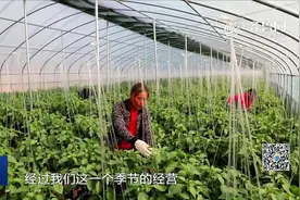 山东农商银行：创新金融服务，两年发放乡村振兴贷款5400多亿元视频封面