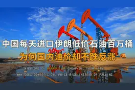 我国每天从伊朗进口百万桶'白菜价'石油，为何国内油价还会九连涨