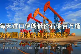 我国每天从伊朗进口百万桶'白菜价'石油，为何国内油价还会九连涨视频封面
