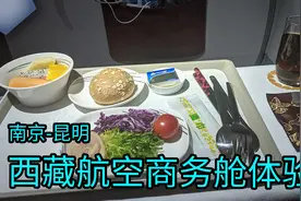 【VLOG】西藏航空商务舱初体验（TV6030 南京禄口-昆明长水）视频封面