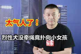 烈性犬没牵绳竟扑向小女孩，母亲要求依法处置犬只，太气人了！视频封面