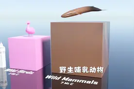 地球各种类生物质量对比，蚂蚁和人类谁更重，这里告诉你视频封面