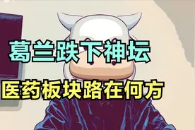 葛兰跌下神坛，中欧医疗跌惨了，医药板块路在何方视频封面