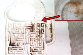 给害虫们造了一座迷宫！让它们永远都跑不出来~