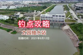 实拍东莞太园抽水站钓点，久违的东江老钓点还能有收获吗，看看吧