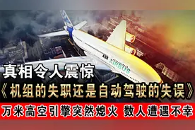 空中浩劫？万米高空引擎突然熄火，数人遭遇不幸，最终平安落地！视频封面