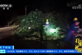 江苏多地遭遇强对流天气，南通最大风力14级|天下财经视频封面