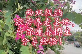 西双版纳旅居养老圣地，治安是否安全？康养酒店到底好不好？视频封面