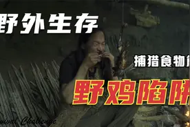 野外生存之野鸡陷阱 这样的野鸡肉很美味 烤着吃原汁原味！视频封面