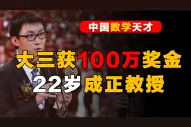 数学奇才：大三破解数学界难题获100万奖，22岁成正教授级研究员视频封面