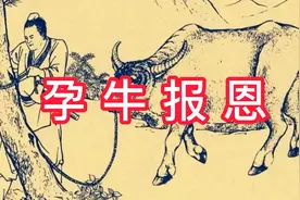 民间故事  男子心善救孕牛，身陷囹圄时牛感恩，它刨了男子的妻坟视频封面