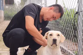 什么原因让狗狗背上长了一个馒头大的包，挤出来的都是血水视频封面