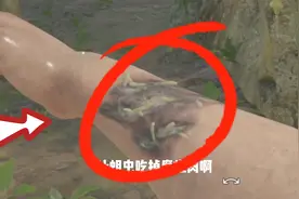 野外生存 伤口感染了怎么办