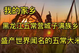 我的家乡，黑龙江五常营城子满族乡，盛产世界闻名的五常大米！视频封面