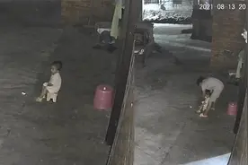 泪目！广西一1岁半留守女宝对监控喊爸妈，爸爸：老婆难受了一夜视频封面
