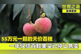 天价荔枝以一颗55万元的价格拍卖，价值连城，一年仅结百颗果实视频封面