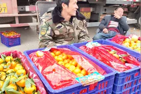 很多朋友想了解橘子的价格，看看广西蜜桔运到河南批发多少一斤?视频封面