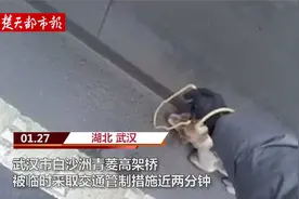 为救助一只受伤的流浪狗，武汉一高架桥采取临时交通管制视频封面