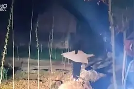 爸爸开货车路过家门而不入 女儿的一个动作令人落泪视频封面