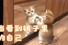 当，看到了自己的样子，发生了神奇的“化学”反应视频封面