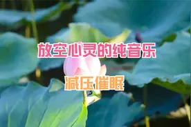 唯美轻音乐--古今多少苍茫事，前车历历未能忘。——《毛主席》视频封面