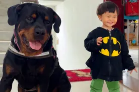 贪吃老爸抢夺小孩零食，狗狗与小孩联手整翻老爸，太搞笑了！视频封面