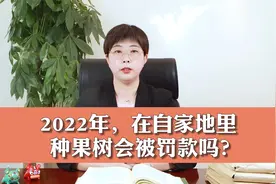 2022年，在自家地里种果树会被罚款？视频封面