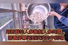 用新鲜人参酿制人参纯露，隔着屏幕闻到淡淡的中药香味视频封面