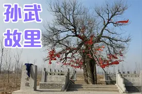 乐安故城遗址，在广饶县的草桥村视频封面