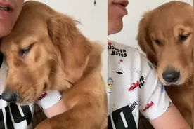 狗子卖乖求吃肉干被拒！随后环住主人撒娇：我老婆都没它会撒娇