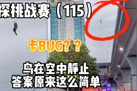 侦探挑战赛(115)，鸟为何在空中静止？答案原来如此简单视频封面