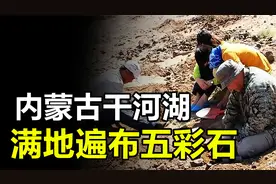内蒙古湖发现“五彩石”，无人识货未被保护，3年损失20亿视频封面