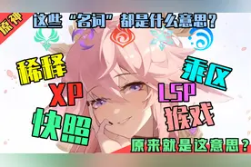 原神，稀释、快照、乘区、猴戏、XP等等，这些词到底是什么意思？视频封面