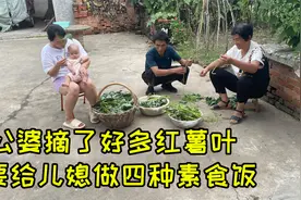 儿媳带汐汐回老家，公婆用红薯叶做饭，尝试4种吃法，这饭好丰盛视频封面