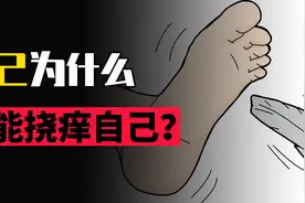 为什么自己给自己挠不痒，别人挠却痒到不行？视频封面
