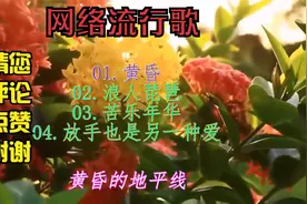 《黄昏》《浪人琵琶》《苦乐年华》《放手也是另一种爱》