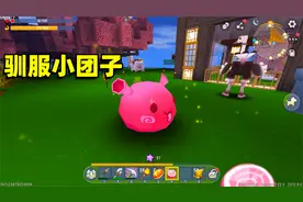 迷你世界高级生存681：小蕾运气爆棚，用1个泡泡糖成功驯服小团子