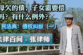 父母欠的债，子女要还吗？该还吗？有例外！民法典：债权纠纷一视频封面