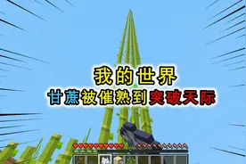 MC的有趣机制？末影珍珠竟有4K高清版，骨粉能无限催熟植物视频封面