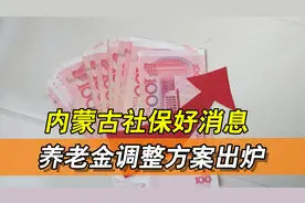 内蒙古社保好消息！养老金上调方案终公布，目前变化最小的方案！视频封面