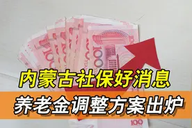 内蒙古社保好消息！养老金上调方案终公布，目前变化最小的方案！视频封面
