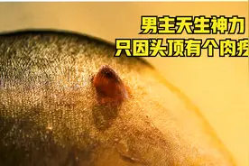 男主头顶从小有个肉疙瘩，只要受到伤害，就会化身成战神！奇幻片视频封面