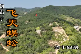 潮汕行 航拍高山美景 偶遇飞天蜈蚣视频封面