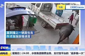 惊险一幕！大妈穿红衣服被“疯”牛一路狂追，此前已有多人被撞