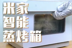 小米米家智能蒸烤箱体验：一机六用内置菜谱，秒变中华小当家